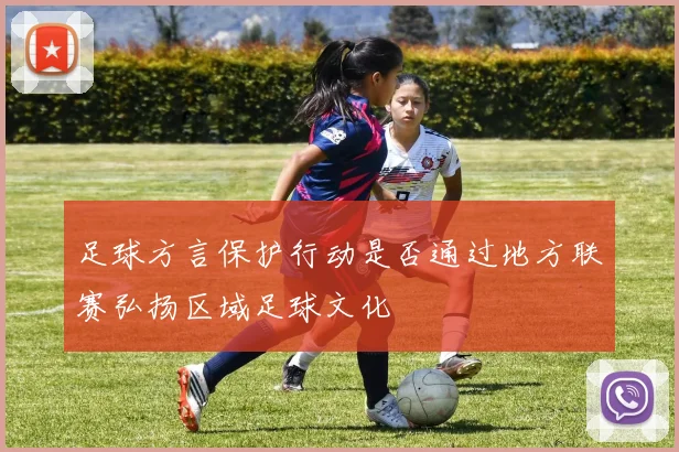足球方言保护行动是否通过地方联赛弘扬区域足球文化