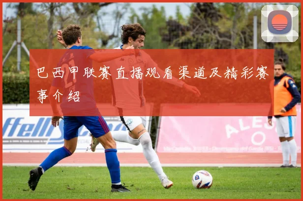 巴西甲联赛直播观看渠道及精彩赛事介绍